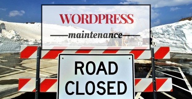 Recommended WordPress Website Maintenance